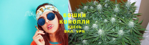 2c-b Каменка