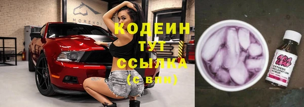 2c-b Каменка