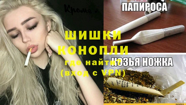 2c-b Каменка