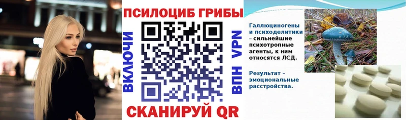 Псилоцибиновые грибы MAGIC MUSHROOMS  Купить закладки  Гусев 